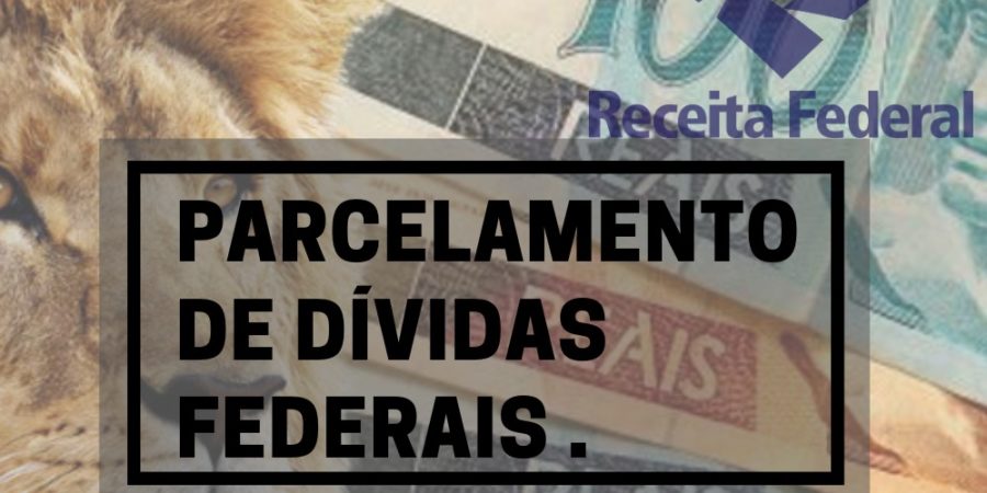 TRANSAÇÃO NA COBRANÇA DE DÍVIDAS FEDERAIS